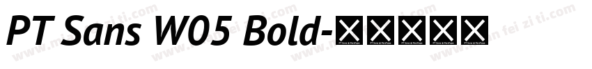 PT Sans W05 Bold字体转换